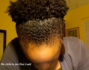 natural hair, natural hair puff, coily hair