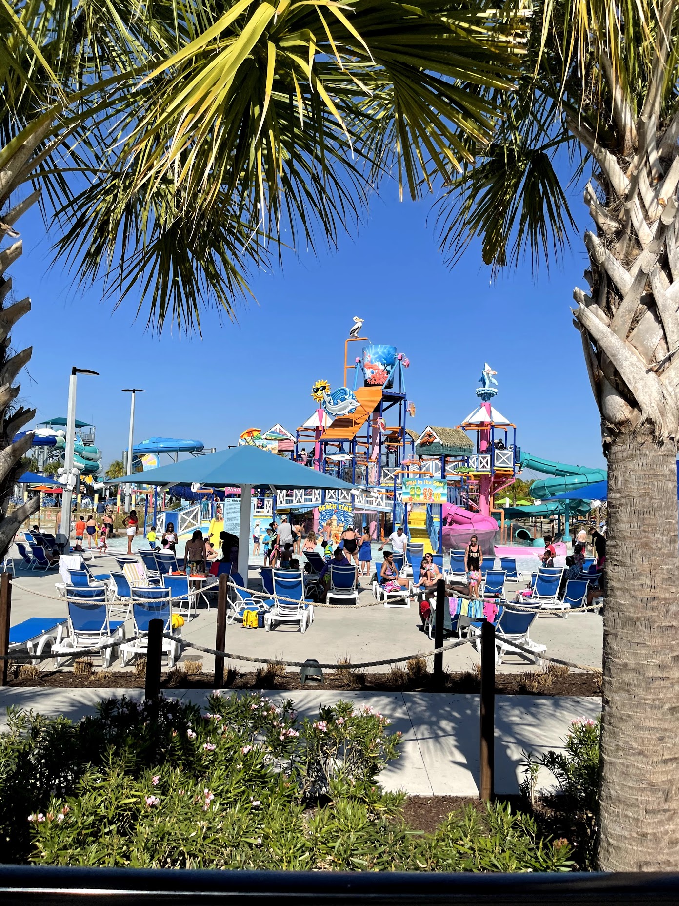 Everything You Need to Know Before Visiting Island H2o Water Park in  Orlando, FL – Jen Finds Gems